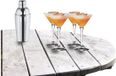Royal Leerdam Cocktailshaker 500 ML set met 4x stuks Martini cocktailglazen 250 ml