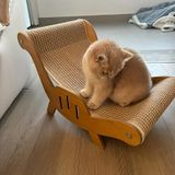 Elzusha - Poteau griffoir et fauteuil 2-en-1 pour chat en matériaux durables