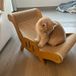 Elzusha - Poteau griffoir et fauteuil 2-en-1 pour chat en matériaux durables
