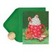 Papyrus Kerstkaarten verpakt met enveloppen - ontworpen door Bella Pilar, warmste wensen (20 tellen)