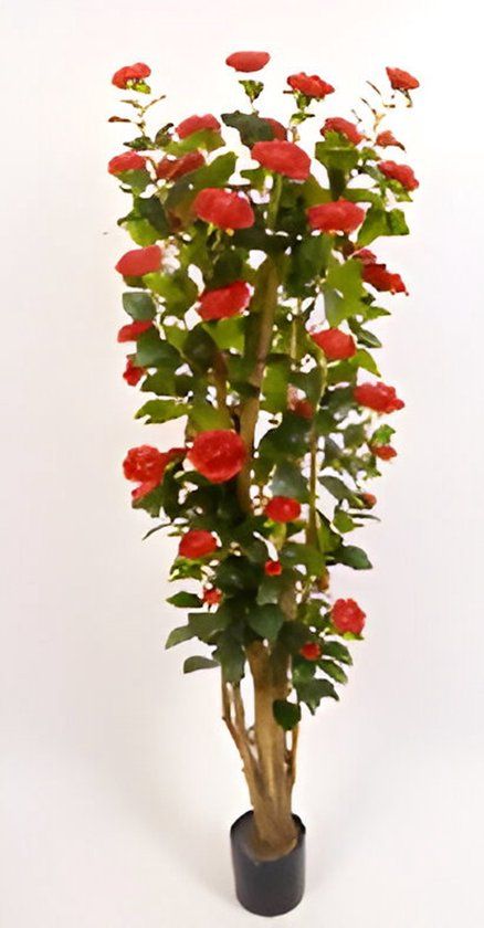 Oosterik Home Camelia 150 cm kunstplant
