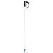 Head Worldcup Rebels Carbon Stokken Transparant 120 cm