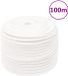 vidaXL Boottouw 14 mm 100 m polypropyleen volwit
