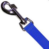 Kerbl Hondenlijn Miami Blauw 200cm/20mm Nylon