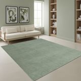 TapisTrend Harig tapijt Groen 80x150 cm