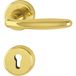HOPPE 3066793 Roissy Drukset op Ronde Rozet Messing Gepolijst Profielcilinder Goud Glanzend