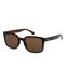 Quiksilver Warlock Zonnebril pour hommes, écaille de tortue marron/marron, taille unique