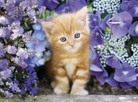 Clementoni Rode kat met bloemen 500
