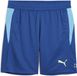 Puma Individual Padel Training Short Heren Blauw
