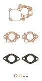 Carburettor Icecat Carburettor set