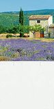 Brunnen 1070344 kalenderachterwand landschapsmotief (voor dag-afscheurkalender nr. 4, 18 x 33 cm)