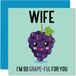 Verjaardagskaarten Druifvol Verjaardagskaarten voor vrouw - grappige gelukkige verjaardagskaart voor vrouw van echtgenoot, vrouw verjaardagscadeaus, 145 mm x 145 mm grap-wenskaarten voor vrouwen haar
