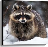 Merkloos / Sans marque Take your time Canvas - Das - Dier - Sneeuw - Winter - Natuur - 60x60 cm Foto op Canvas Schilderij (Wanddecoratie op Canvas)