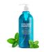 Esthetic House CP-1 Cool Mint Shampoo Head Spa Dry Hair 500 ml
