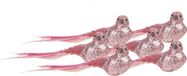 Cosy&Trendy 6x stuks kunststof decoratie vogels op clip roze glitter 21 cm