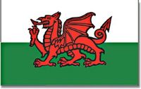 Merkloos / Sans marque Promex Gmbh Vlag Wales - wit/groen/rood - polyester - 90x150 cm - landen vlag