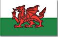Merkloos / Sans marque Promex Gmbh Vlag Wales - wit/groen/rood - polyester - 90x150 cm - landen vlag