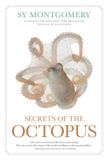 Secrets Disney Trading B.V. Secrets of the Octopus