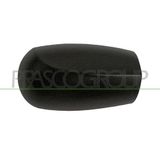PRASCO Abdeckung, Außenspiegel FT1337403 rechts, | Compatibel met: FIAT PUNTO
