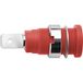 Schützinger DI SEB 7080 Ni / RT Veiligheids-inbouwbus Rouge