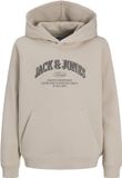 JACK & JONES JUNIOR - JJEDENVER LOGO SWEAT HOOD SN JNR Jongens Trui