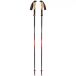 Black Diamond Bâtons de randonnée Pursuit carbon flz