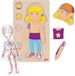 GOKI Puzzle - Fille - 29 pièces - 5 couches - Bois - 4+