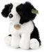 Rappa Eco Friendly Serie - Pluchen Border Collie Hond - 30 cm - Zwart en Wit