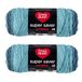 Red Heart Super Saver Jumbo blauw Tiful Ombre Garen - 2 Pack van 283g/10oz - Acryl - 4 Medium (Worsted) - 400 Yards - Breien/haken