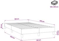 vidaXL Boxspring zonder matras fluweel zwart 120x220 cm