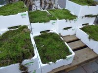 Warentuin natuurlijk - Platmos vers 4 lagen