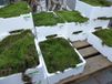 Warentuin natuurlijk - Platmos vers 4 lagen