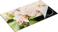 Chefcare Inductie Beschermer Gestreepte Witte Orchidee Bloemen - 90x55 cm - Multicolor
