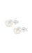 Oorbellen Lotus Silver Oorbellen WS0001/10