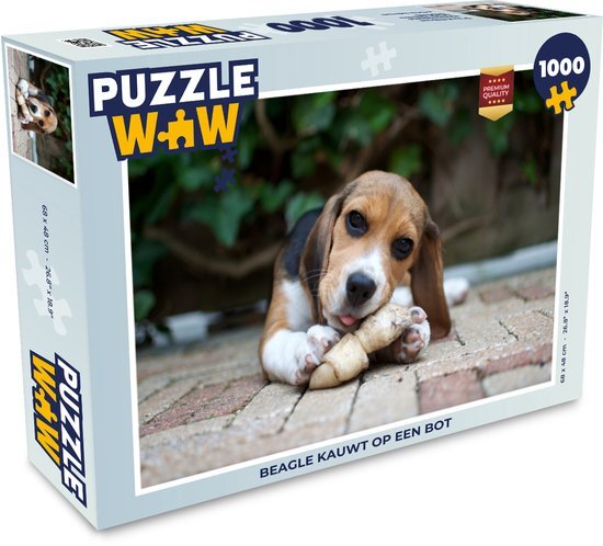 MuchoWow Puzzel Beagle kauwt op een bot - Legpuzzel - Puzzel 1000 stukjes volwassenen