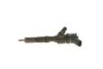 BOSCH 0 445 110 558 Brandstofspuitmond