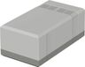Bopla ELEGANT EG 1560 L 32156012 Elektronicabehuizing 150 x 82 x 60 Polystereen (EPS) Grijs-wit (RAL 7035) 1 stuk(s)