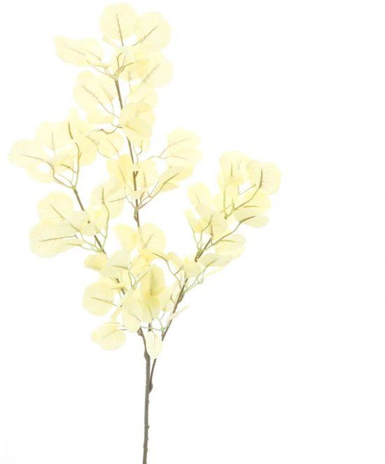 Buitengewoon Boet Buitengewoon de Boet Eucalyptus spray ampezzo geel 60 cm kunsttak