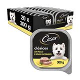 Cesar Natvoer in gelei voor honden, smaak, kip en lever (verpakking met 20 containers x 300 g)
