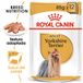 ROYAL CANIN Yorkshire Terrier Adult Nassfutter (Pastete), 85g
