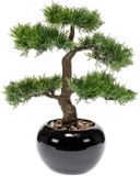 Bellatio Flowers & Plants Kantoor kunstplant Bonsai boom in zwarte pot 16 cm