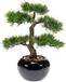 Bellatio Flowers & Plants Kantoor kunstplant Bonsai boom in zwarte pot 16 cm