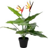 vidaXL - Kunst - Strelitzia - Plant - Groen - 65 x 13 x 55 cm