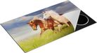 Chefcare Inductie Beschermer Bruin en Wit Paard in de Wei - 89,6x51,6 cm - Inductie Mat