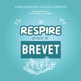 je Icecat Pause Anti-Stress – Examens & Révisions - Coloriages et pensées positives