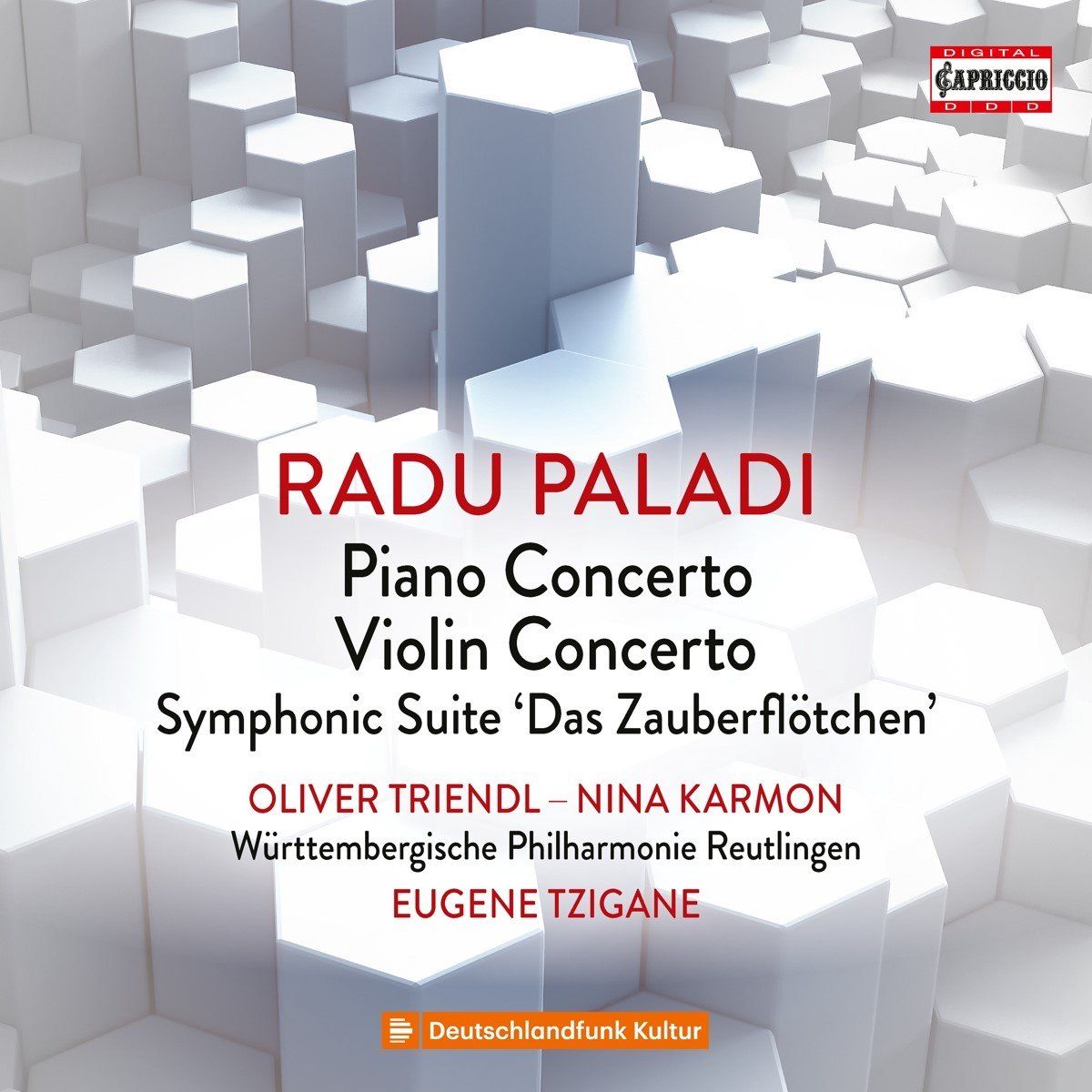OUTHERE Radu Paladi: Piano Concerto/Violin Concerto