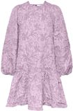 PIECES - PCGRETCHEN LS SHORT DRESS D2D DMO - Dames - Mini jurken
