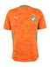 PUMA Tricot 'FIF' smaragd / oranje / donkeroranje / wit