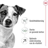 Royal Canin Alimentation Chien Sec Mini 8+ 3 x 2 kg