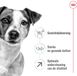 Royal Canin Alimentation Chien Sec Mini 8+ 3 x 2 kg